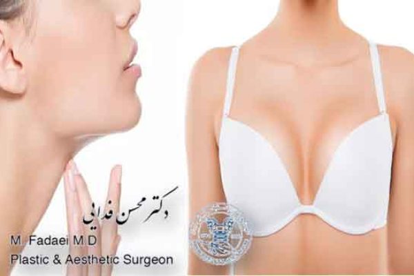 cosmetic prostheses for face and body